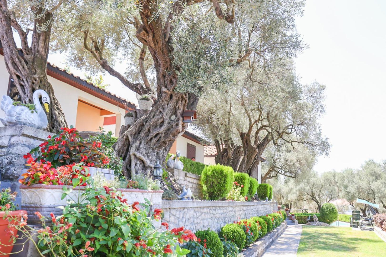 Hilja'S Oliven Garden Bungalows Ülgün Dış mekan fotoğraf