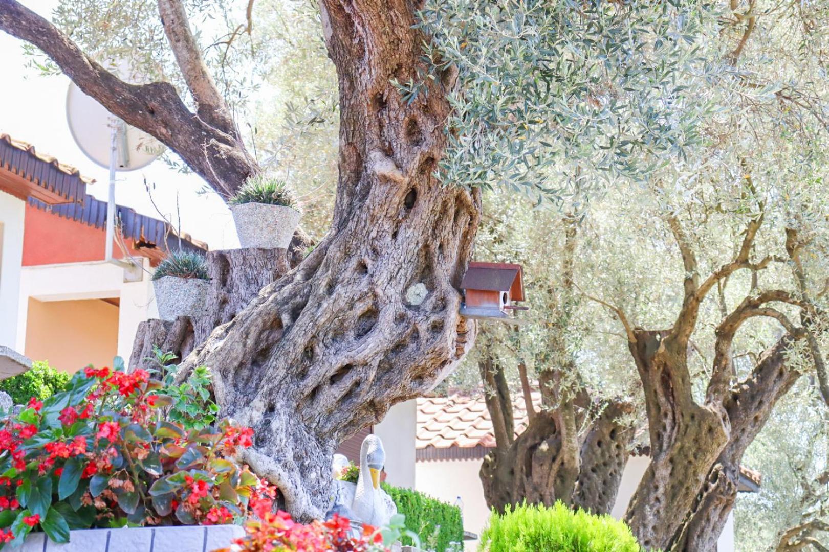 Hilja'S Oliven Garden Bungalows Ülgün Dış mekan fotoğraf