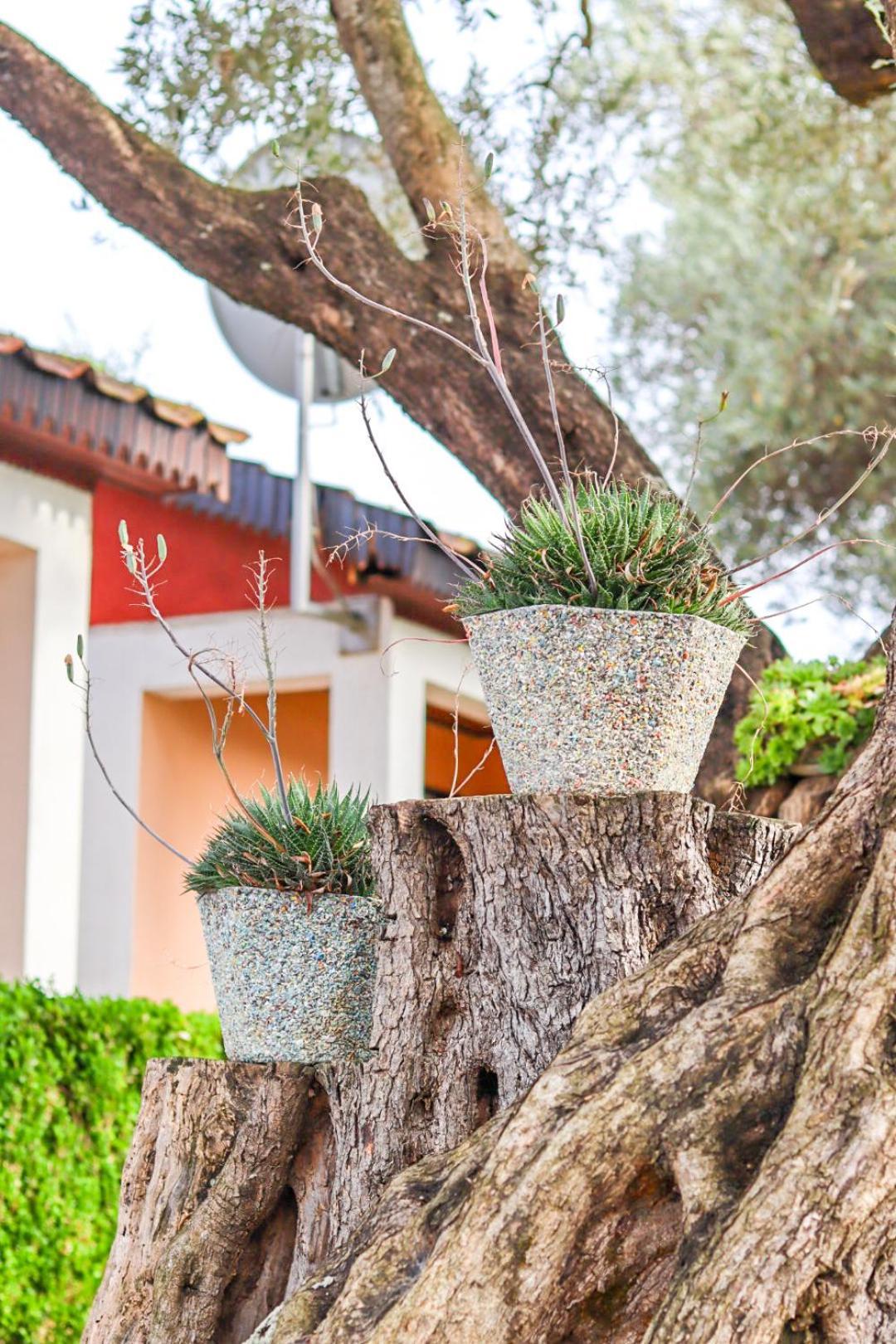 Hilja'S Oliven Garden Bungalows Ülgün Dış mekan fotoğraf