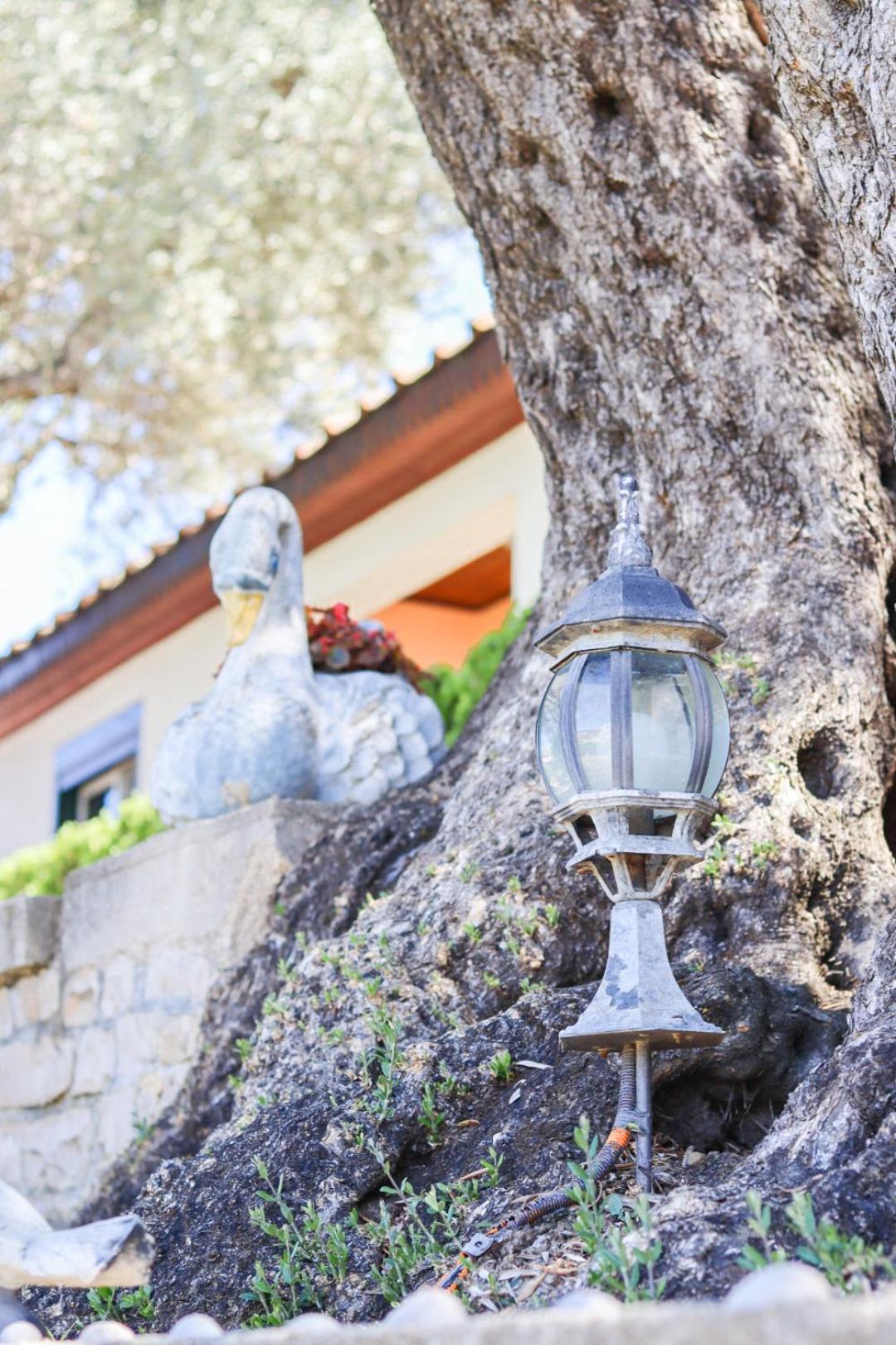 Hilja'S Oliven Garden Bungalows Ülgün Dış mekan fotoğraf