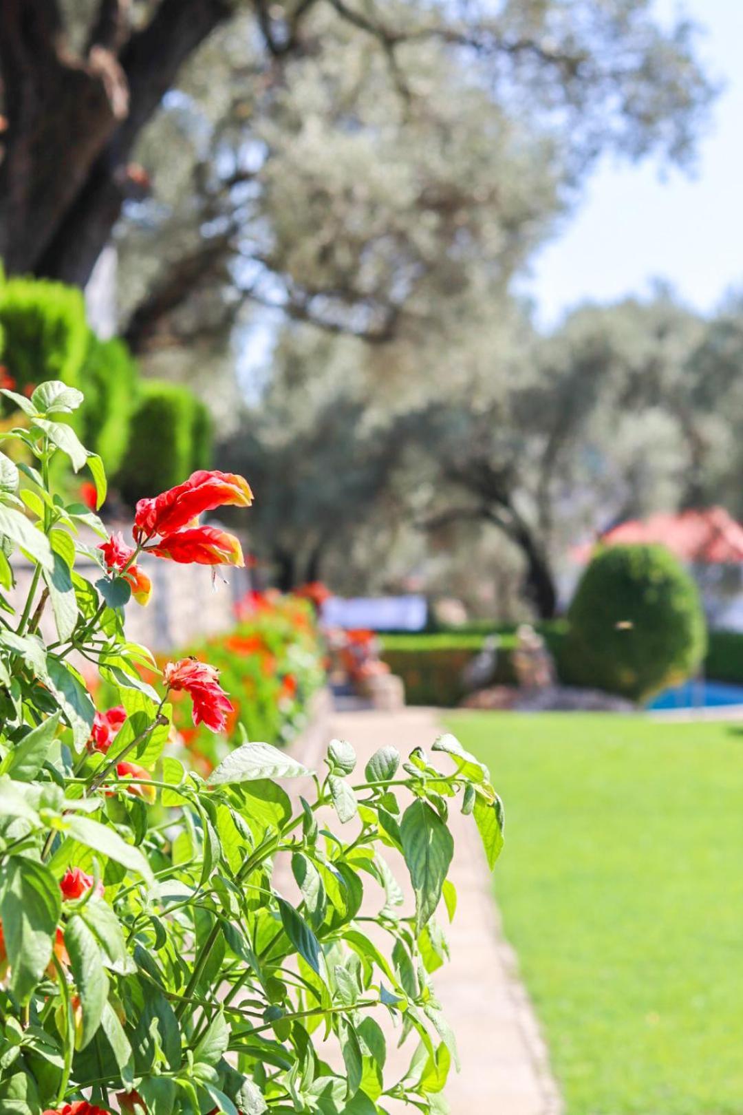 Hilja'S Oliven Garden Bungalows Ülgün Dış mekan fotoğraf