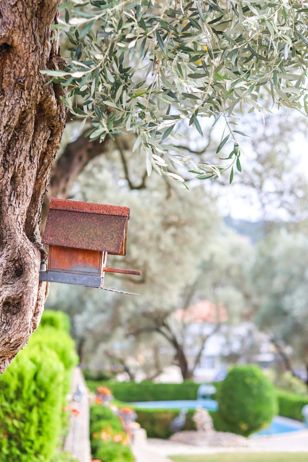 Hilja'S Oliven Garden Bungalows Ülgün Dış mekan fotoğraf
