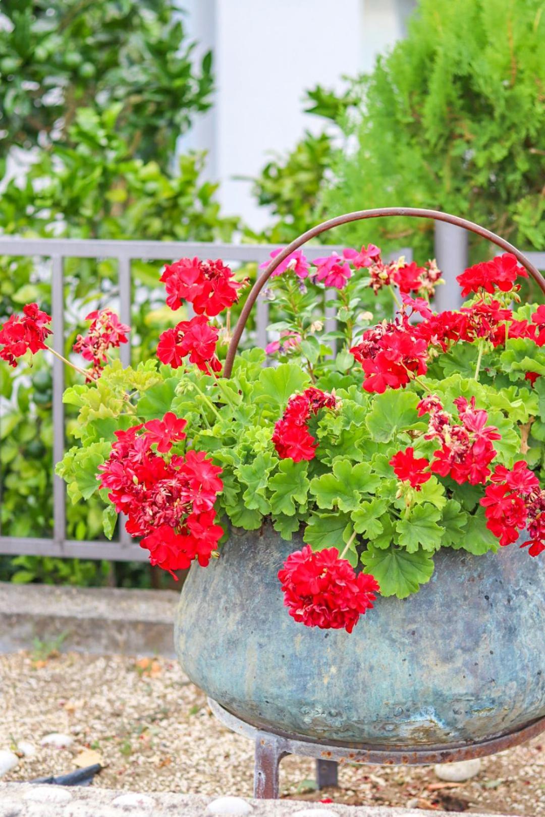 Hilja'S Oliven Garden Bungalows Ülgün Dış mekan fotoğraf