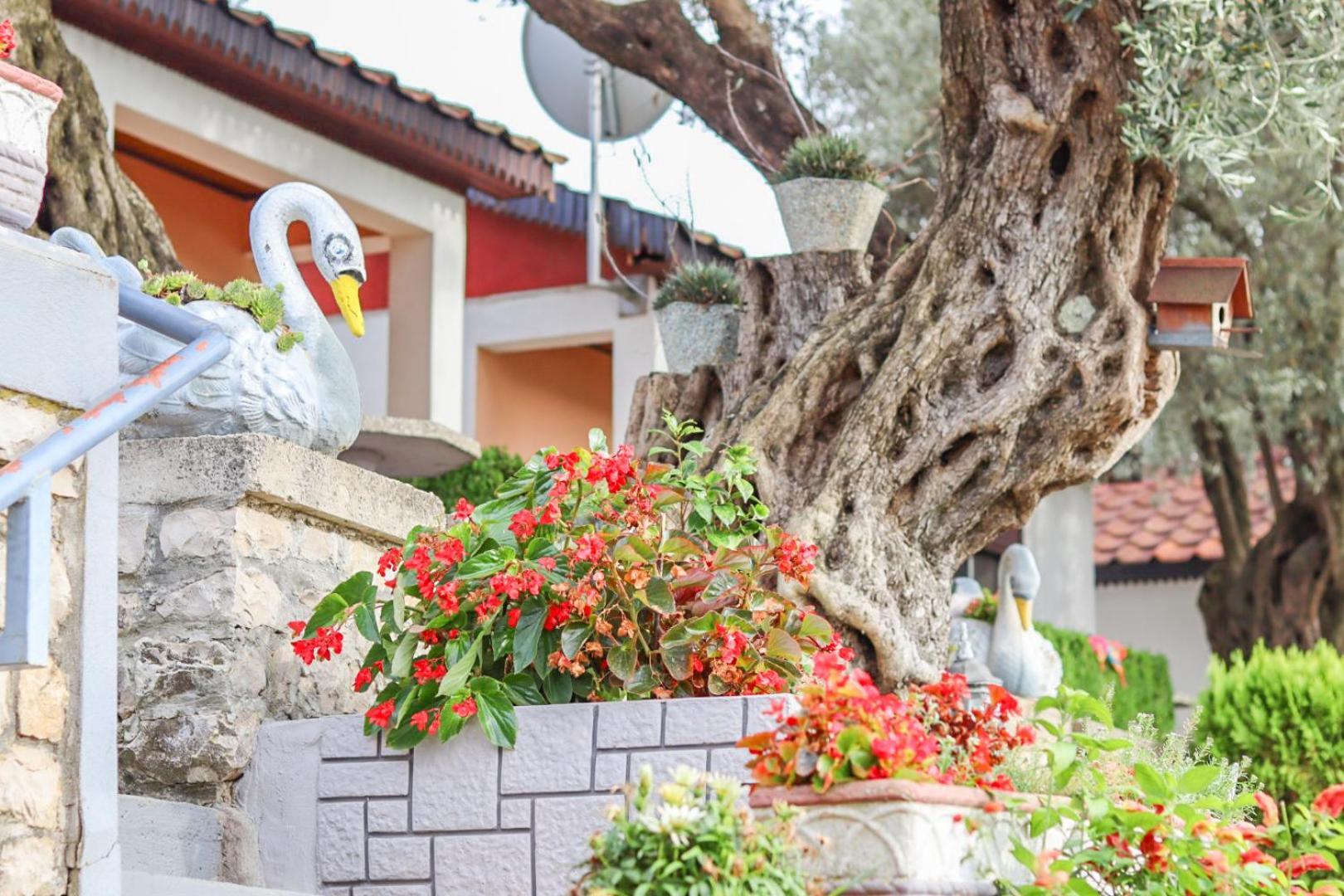 Hilja'S Oliven Garden Bungalows Ülgün Dış mekan fotoğraf