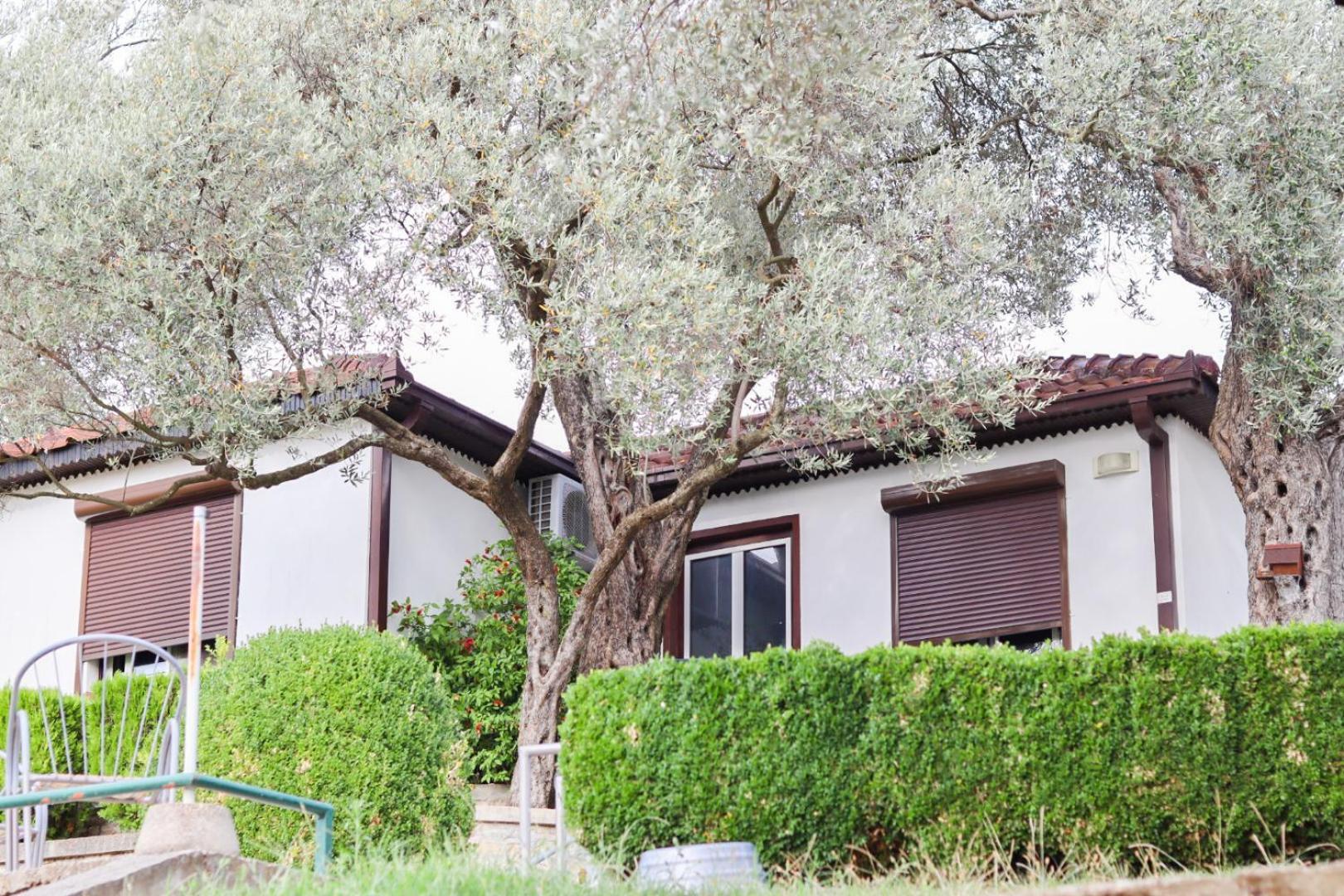 Hilja'S Oliven Garden Bungalows Ülgün Dış mekan fotoğraf