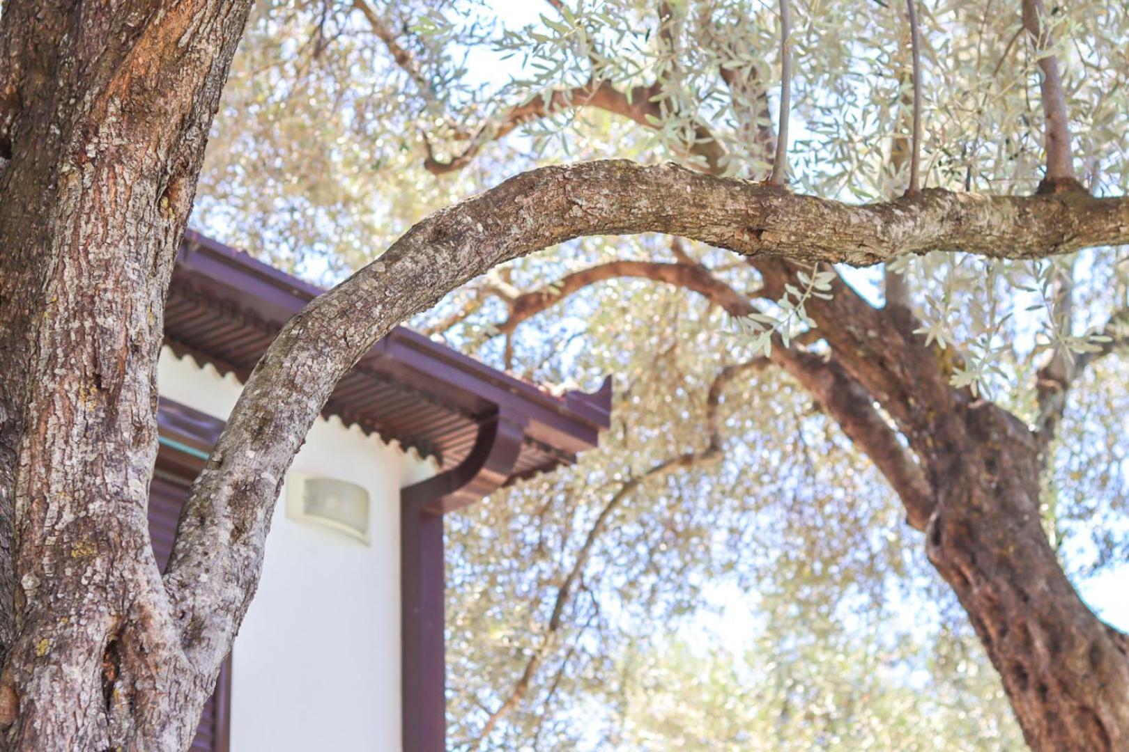 Hilja'S Oliven Garden Bungalows Ülgün Dış mekan fotoğraf