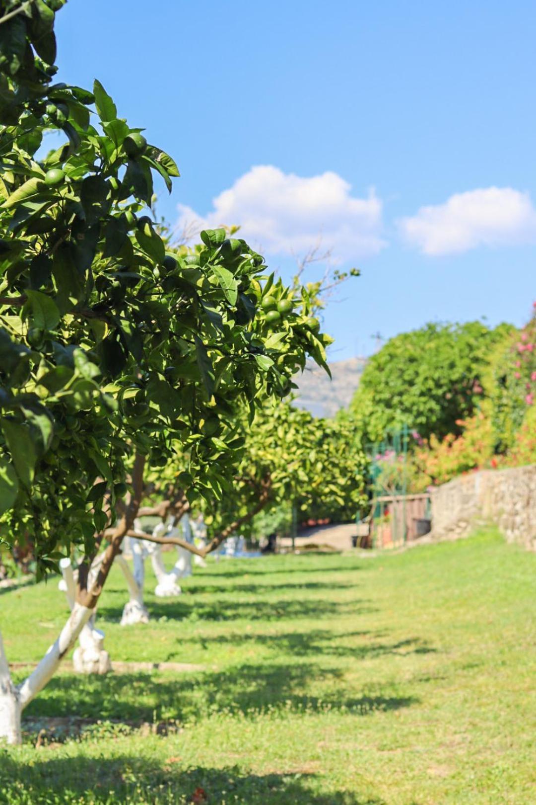 Hilja'S Oliven Garden Bungalows Ülgün Dış mekan fotoğraf