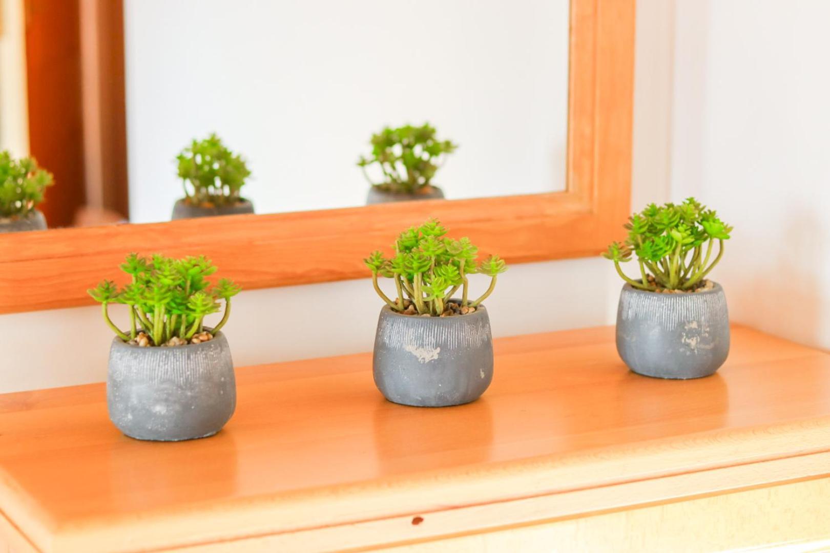 Hilja'S Oliven Garden Bungalows Ülgün Dış mekan fotoğraf