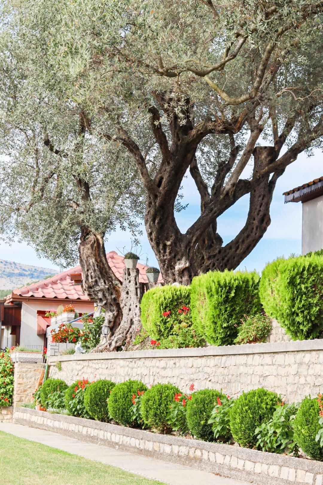 Hilja'S Oliven Garden Bungalows Ülgün Dış mekan fotoğraf