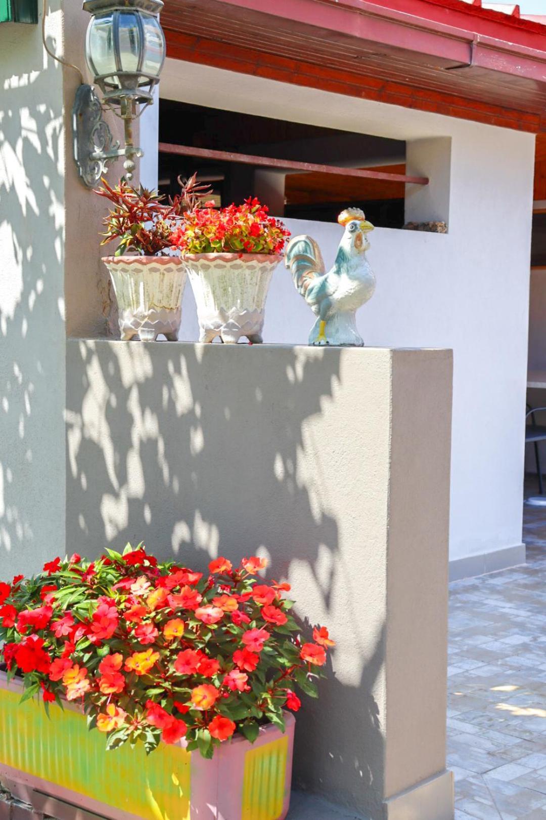 Hilja'S Oliven Garden Bungalows Ülgün Dış mekan fotoğraf