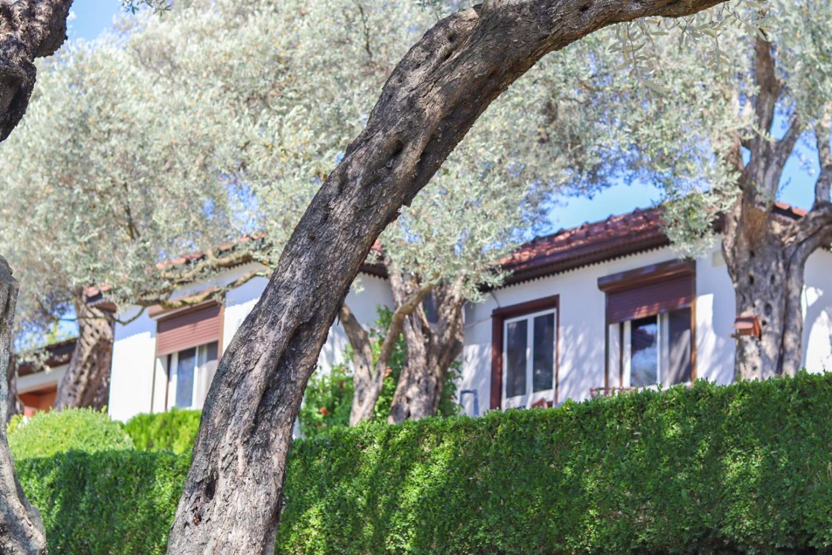 Hilja'S Oliven Garden Bungalows Ülgün Dış mekan fotoğraf